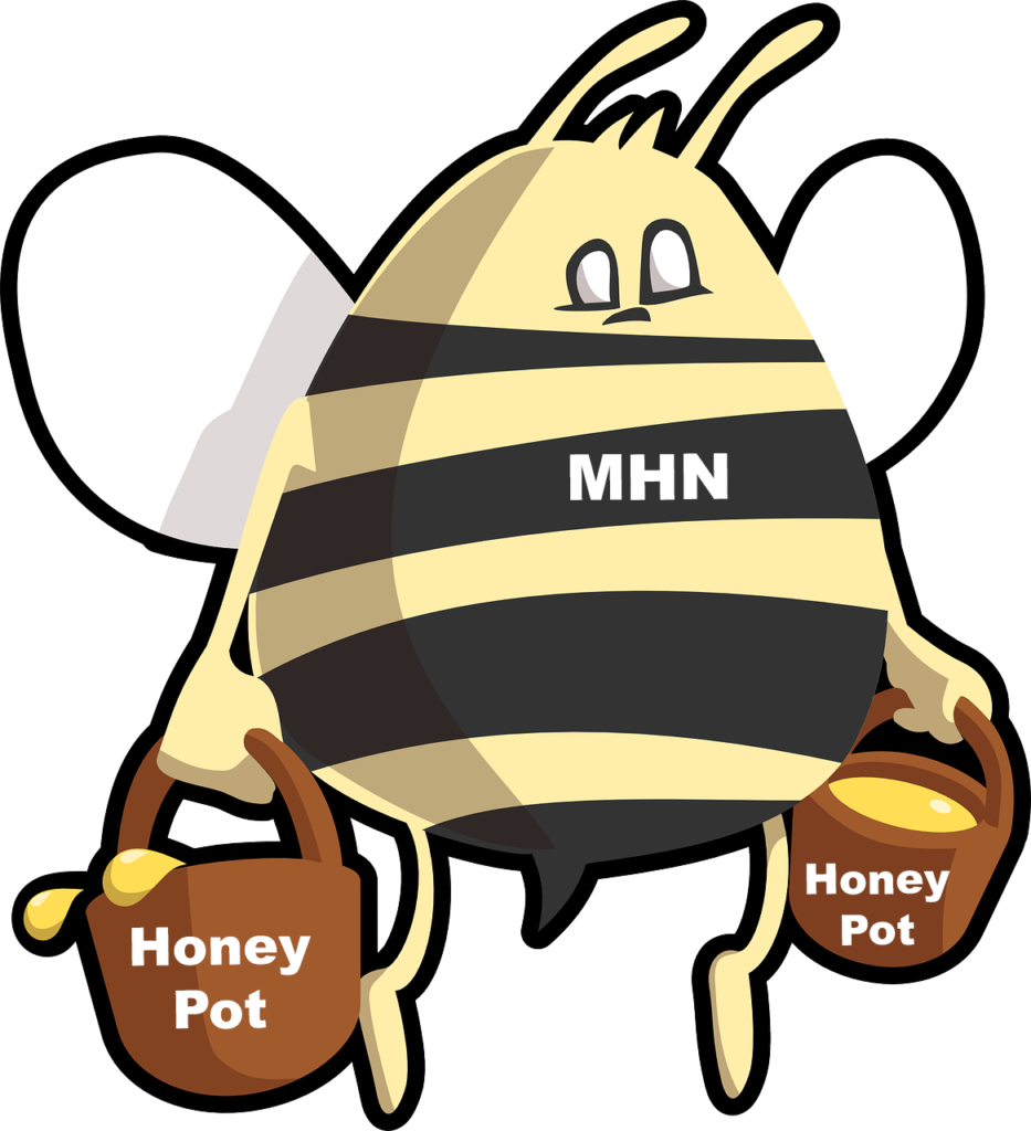modern honey network