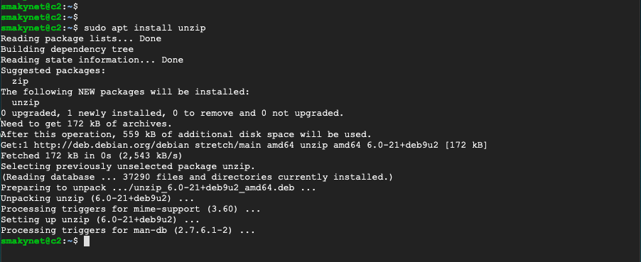 ubuntu install unzip