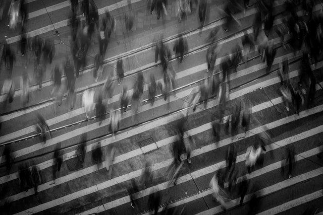 People Search